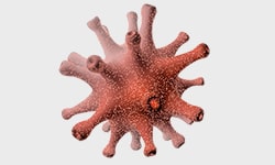 Rabbit Anti-Llama IgG[Biotin],pAb